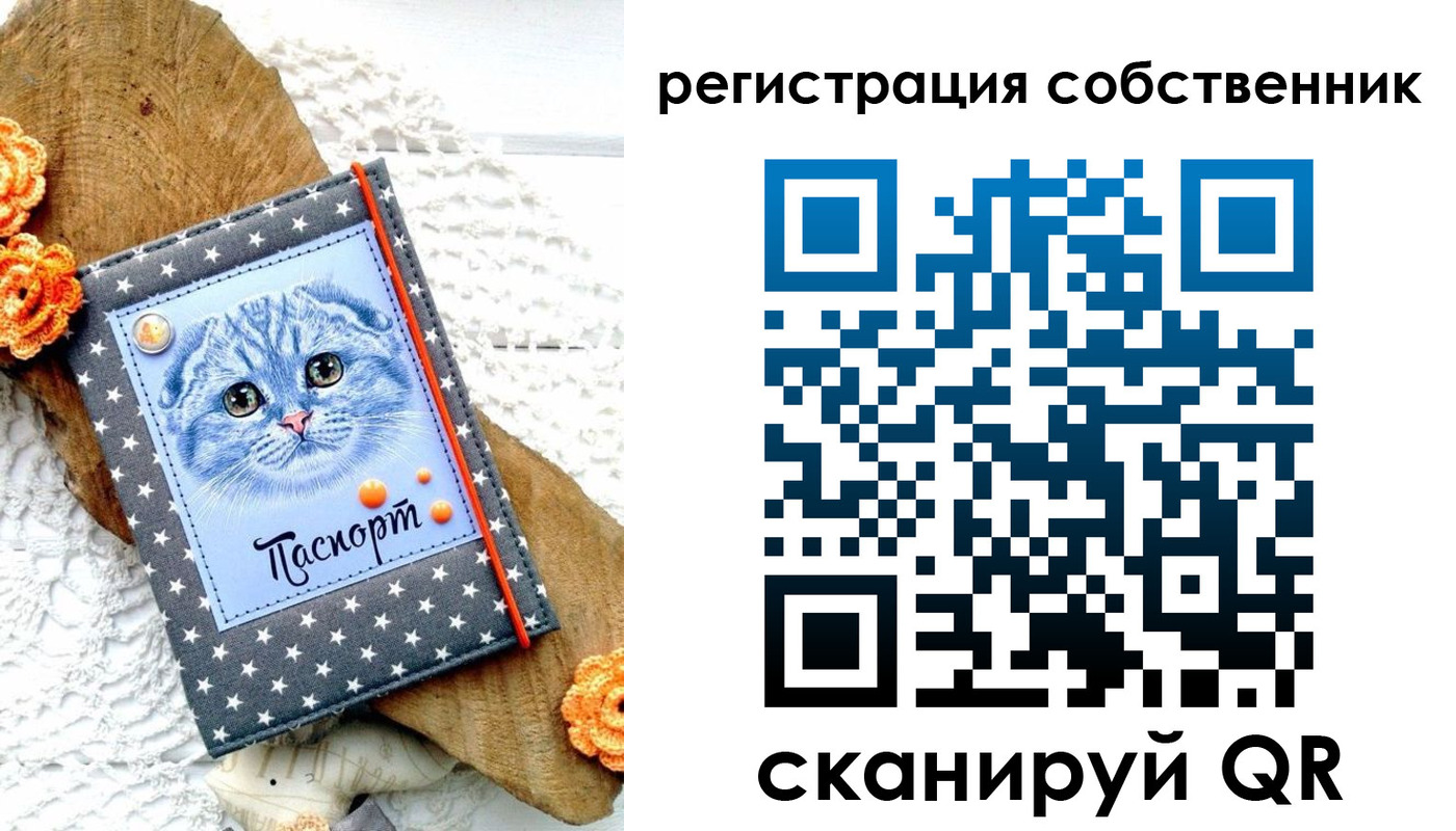 прописка для работы в Киселёвске